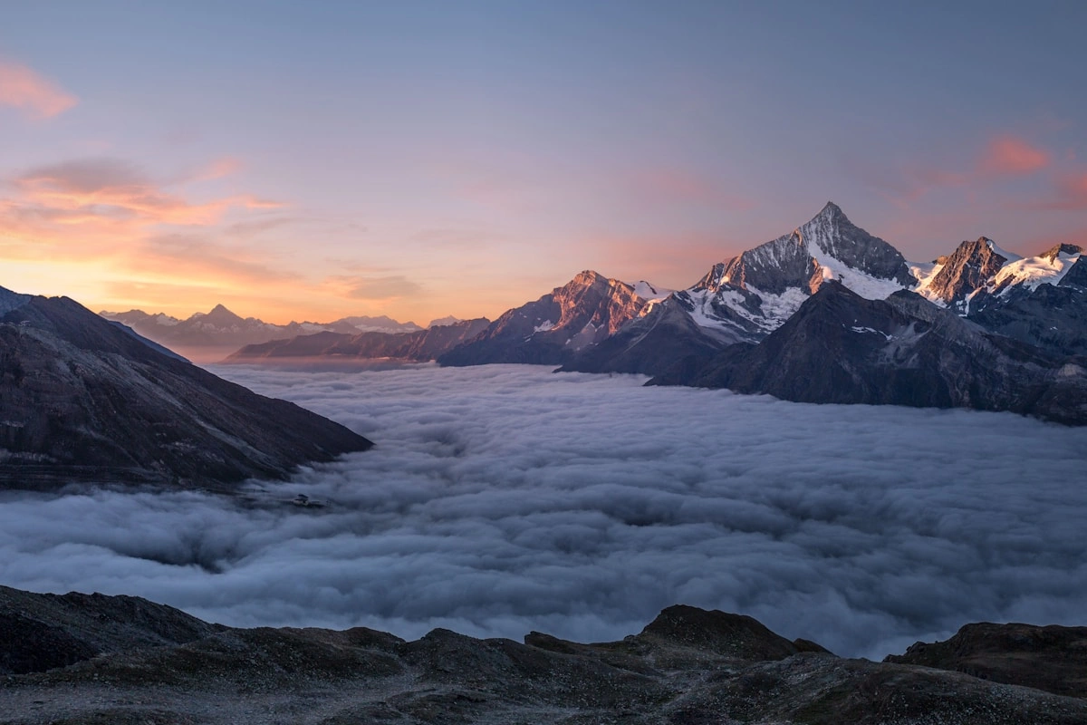 Guide d'achat shilajit en France 2025