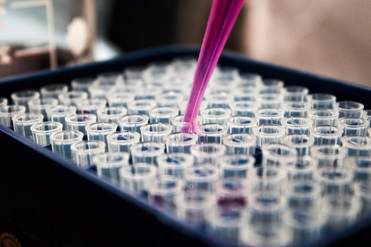 Bienfaits scientifiques du shilajit sur la santé